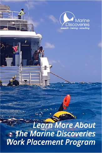 Join Marine Discoveries Work Placement Program