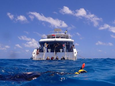 Reef Naturalist Programs