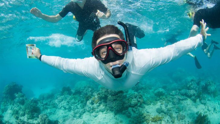 Reef Naturalist Days - Reef Teach, Cairns