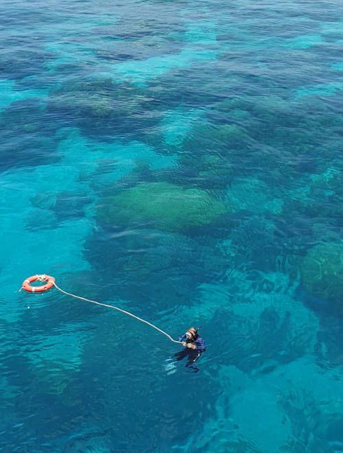 Marine Discoveries - Snorkelling On The Great Barrier Reef