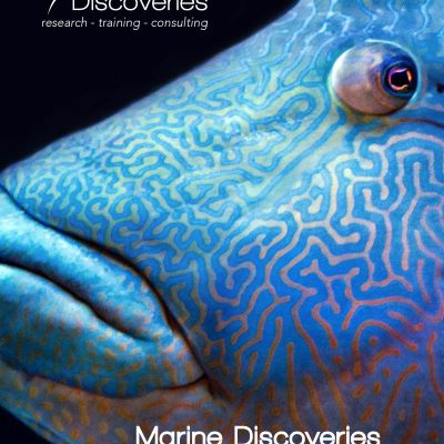 About Marine Discoveries